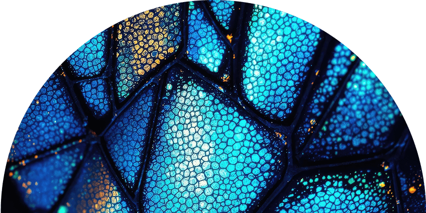 Blue scales pattern